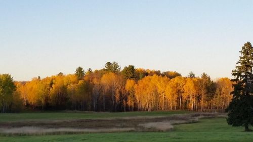 TBD Silver Maple Rd Nw, Puposky, MN, 56667 | Card Image