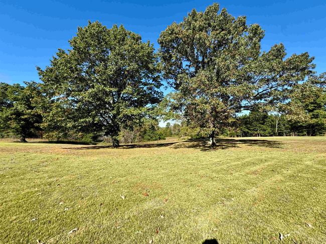 1660 Knob Creek Rd, House other with 3 bedrooms, 2 bathrooms and null parking in Melbourne AR | Image 32