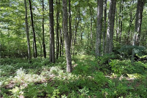 239 Cross Vine Dr, Tuckasegee, NC, 28783 | Card Image