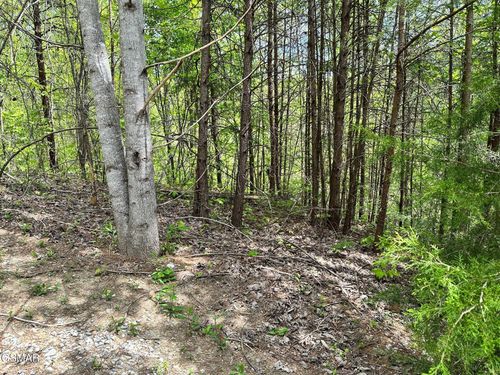 1430 Mountain Dreams Way, Sevierville, TN, 37862 | Card Image