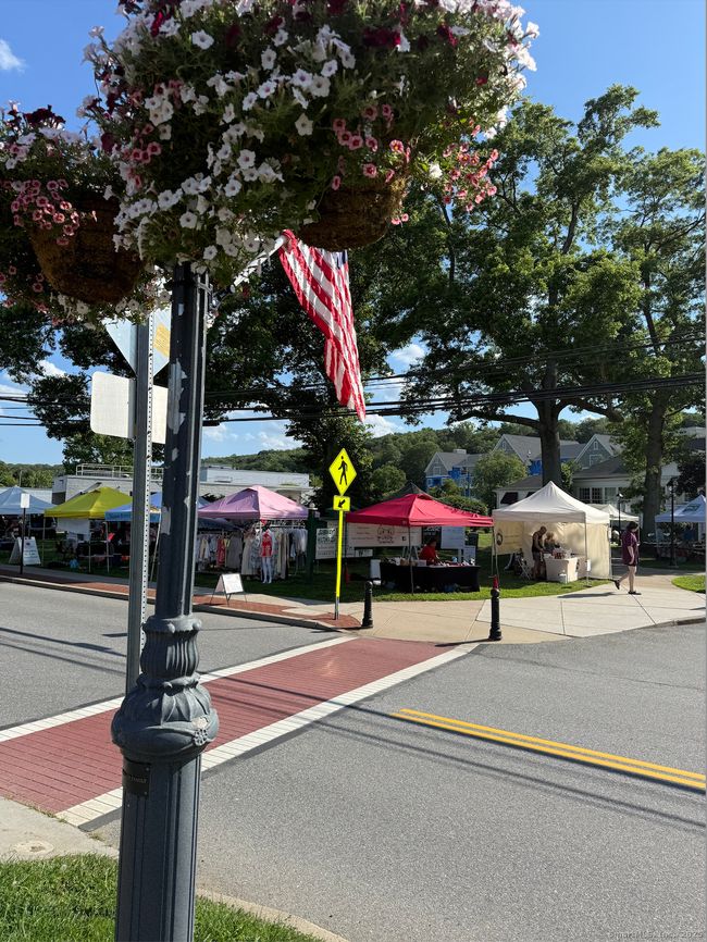 The Wilton town green - a farmers market is held here every Wednesday in the summer months. | Image 27