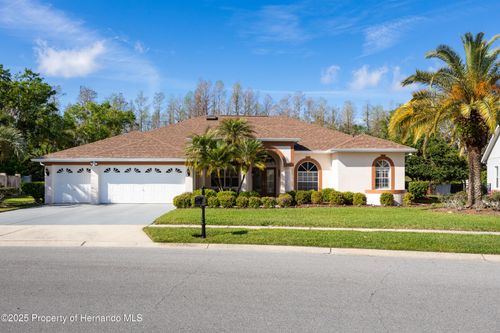 21312 Preservation Dr, Land O' Lakes, FL, 34638-3345 | Card Image