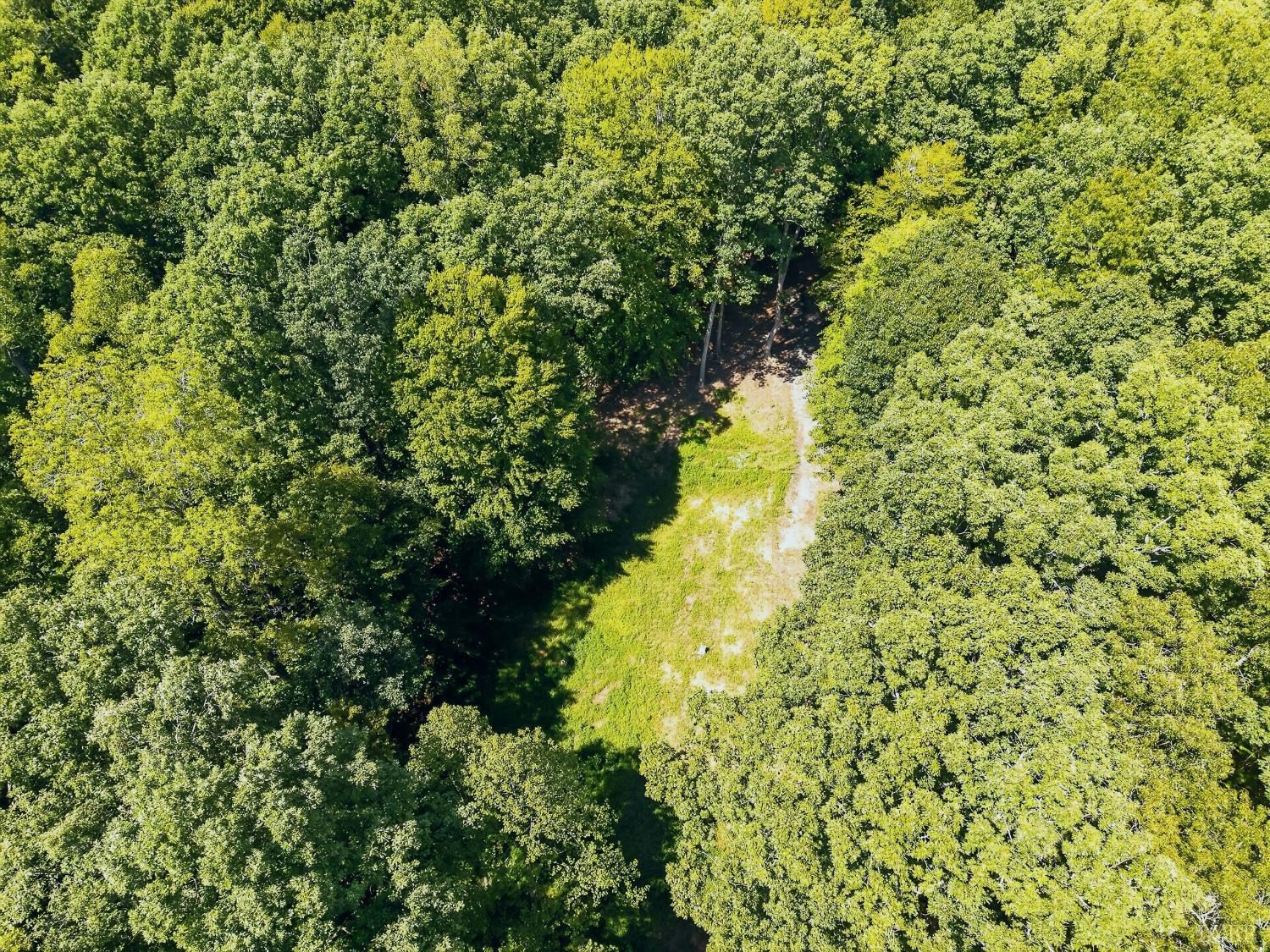 Land in Moneta 3
