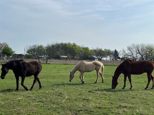 4605 County Road 4511, Commerce, TX, 75428-5253 | Card Image