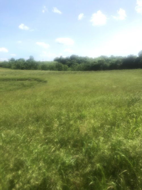 7 Chowning Ln, Bloomfield, KY, 40008-7236 | Card Image