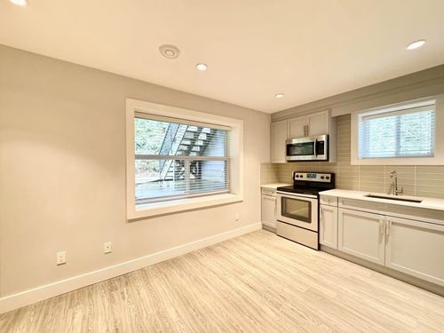 basement-159xx 92a Ave, Surrey, BC, V4N6N1 | Card Image