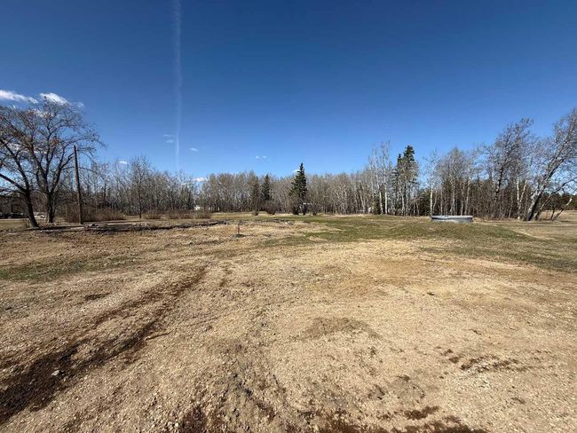 3004 Township Road 765, Home with 0 bedrooms, 0 bathrooms and null parking in Wanham AB | Image 4