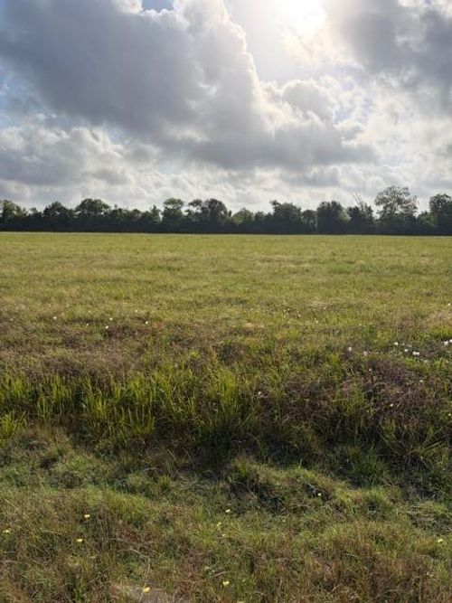 000 Brahman Trail, Angleton, TX, 77515 | Card Image