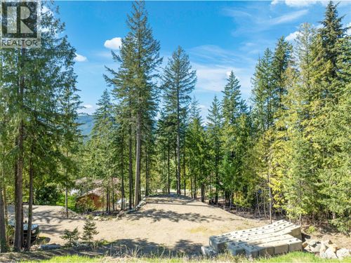 2699 Fraser Rd, Anglemont, BC, V0E1M8 | Card Image