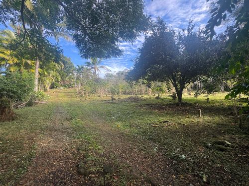 82-1161 Kinue Rd, CAPTAIN COOK, HI, 96704-8282 | Card Image