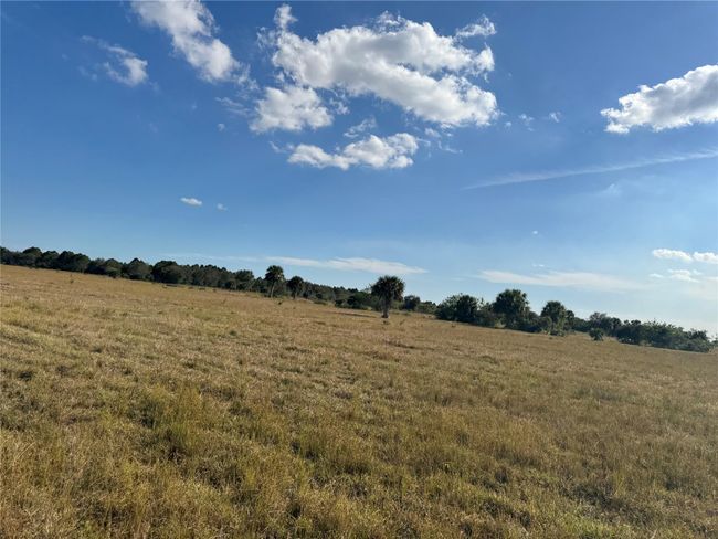 2348 Cabbage Ln, Home with 0 bedrooms, 0 bathrooms and null parking in Okeechobee FL | Image 4