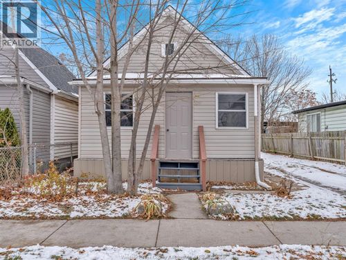 {{alt}} | Card Image