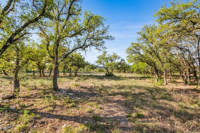 Hill country! | Image 39
