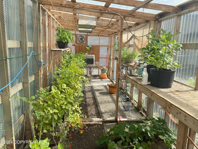 Greenhouse interior position 2 | Image 82