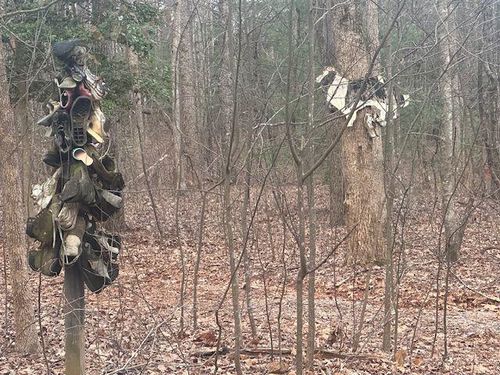 38 Mountain Crest Road, Dawsonville, GA, 30534 | Card Image