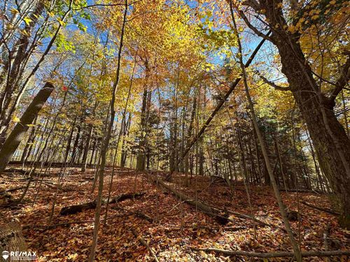 3077 Phelps Lake Rd, Mayville, MI, 48744-9554 | Card Image