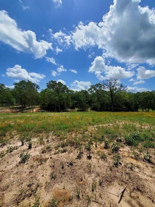 21 Cr 389, Home with 0 bedrooms, 0 bathrooms and null parking in Jewett TX | Image 5