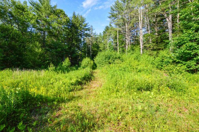 LOT-3 - 00 Vt Route 103 N, Home with 0 bedrooms, 0 bathrooms and null parking in Chester VT | Image 13