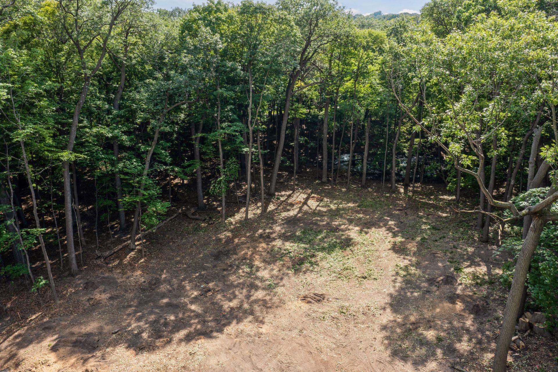 Land in Chanhassen 2