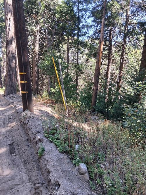 14 Burnt Mill Canyon Rd, Cedarpines Park, CA, 92322-0163 | Card Image