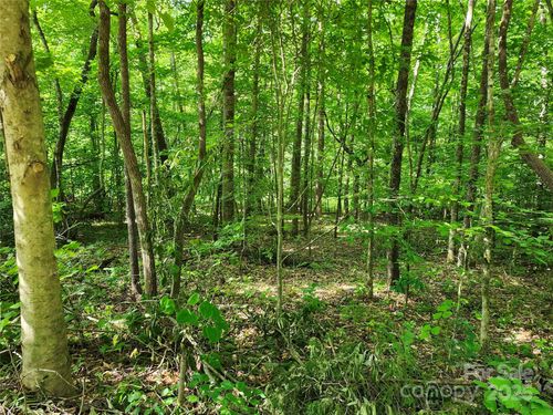 67-0000 Hayes Rd, Columbus, NC, 28722 | Card Image