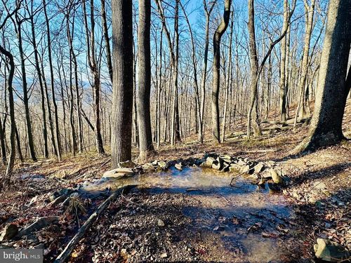 LOT 13 SEC 8 Lawyer Lane, SLANESVILLE, WV, 25444 | Card Image