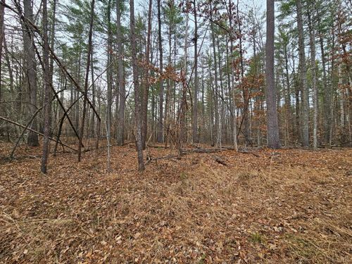 0 Cedar Creek Rd, Monroe, VA, 24574 | Card Image