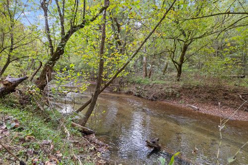 8 Shoal Creek Rd, Tellico Plains, TN, 37385 | Card Image