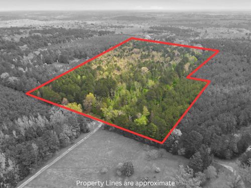 TBD County Road 1897, Linden, TX, 75563 | Card Image