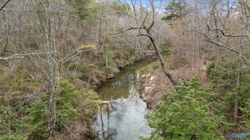 299 Road 9006, Mentone, AL, 35984 | Card Image