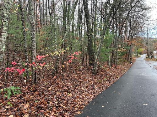 Lt12&13 Butternut Grv, Blairsville, GA, 30512 | Card Image