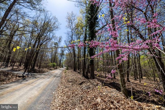 309 Wildwood Ln, Home with 0 bedrooms, 0 bathrooms and null parking in SHENANDOAH VA | Image 5