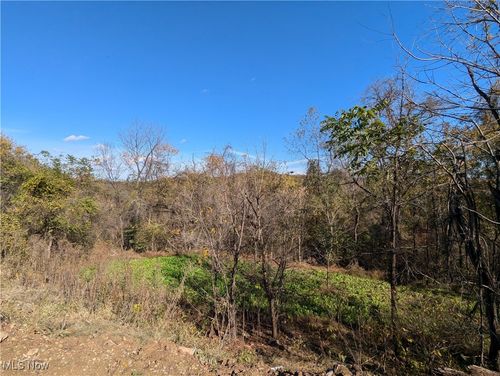 44603 Roy Bower Rd, Sardis, OH, 43946-9737 | Card Image