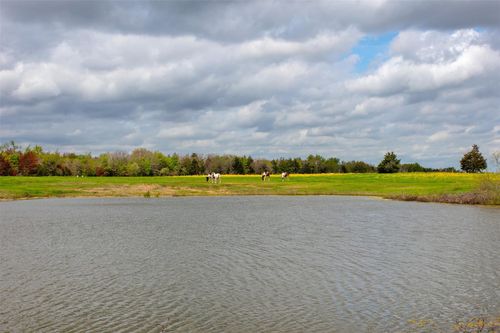 3882 Webb Cemetery Rd, Calvert, TX, 77837-8105 | Card Image