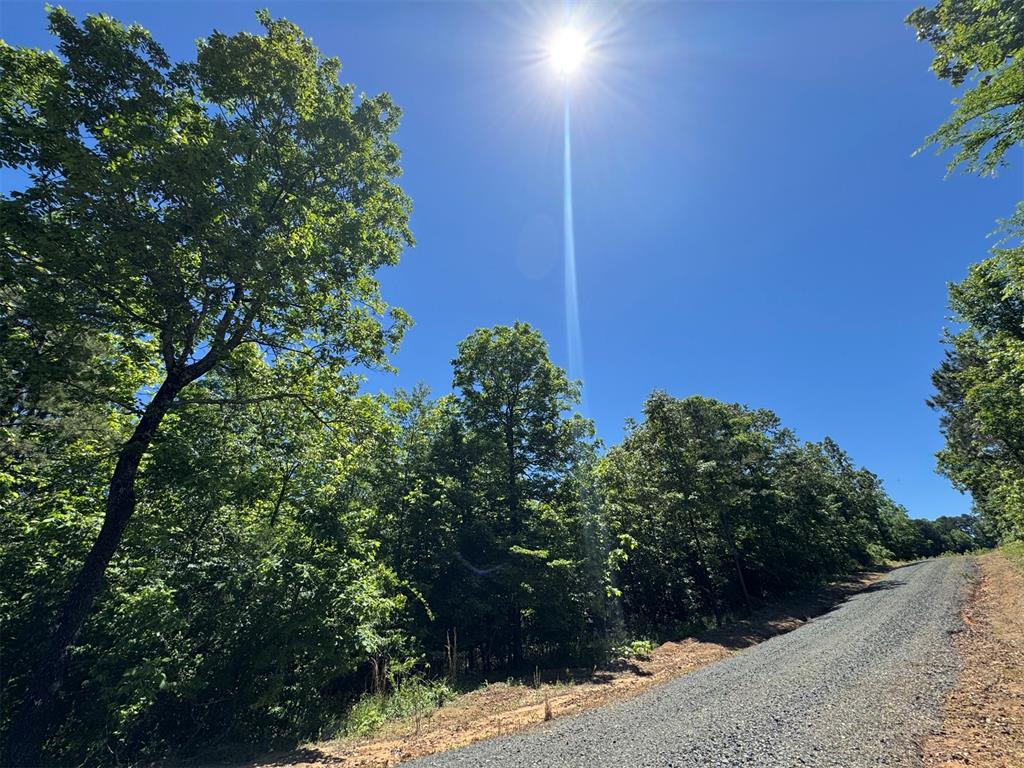 Land in Watson