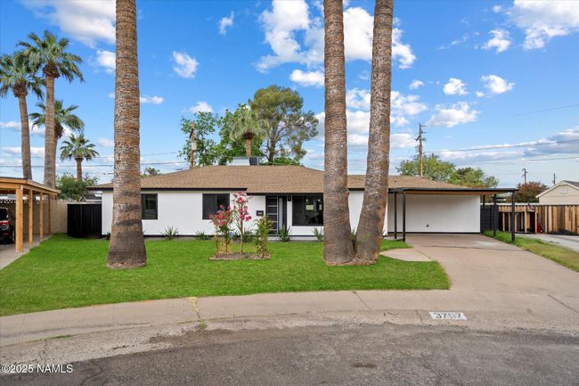 Spacious front yard with stately palm trees | Image 34