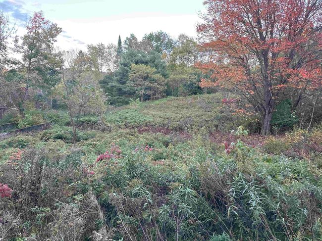 9 Hodge Hill Rd, Home with 0 bedrooms, 0 bathrooms and null parking in Lisbon NH | Image 7