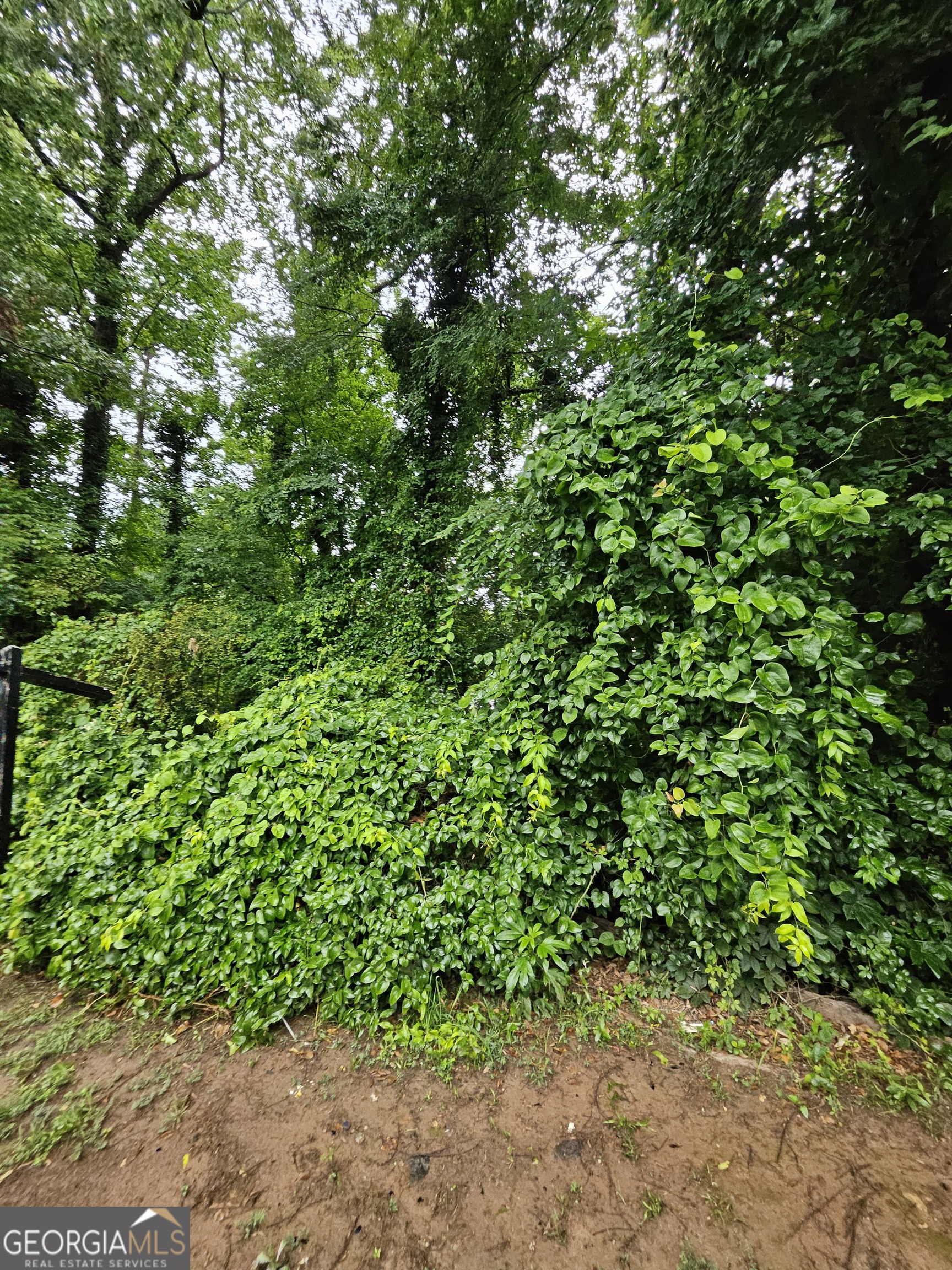 Land in Decatur