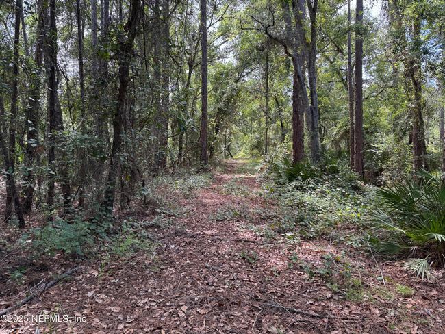 332 Ward Ave, Home with 0 bedrooms, 0 bathrooms and null parking in CRESCENT CITY FL | Image 6