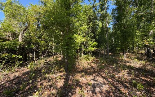 TBD 217th Rd, Live Oak, FL, 32060 | Card Image