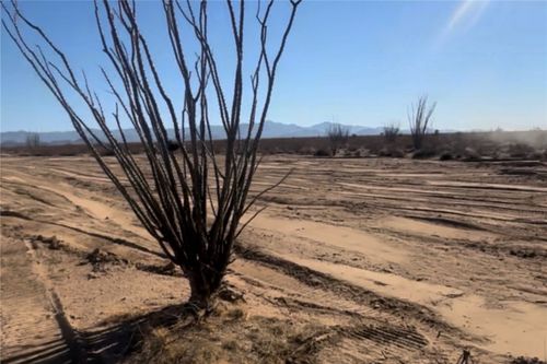 0 S Arlington Rd, Yucca, AZ, 86438 | Card Image