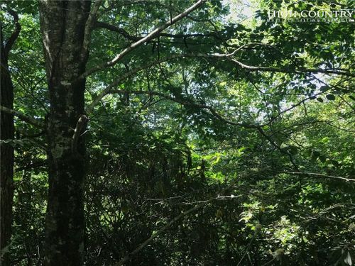 tbd Benjamin Dr, Boone, NC, 28607 | Card Image