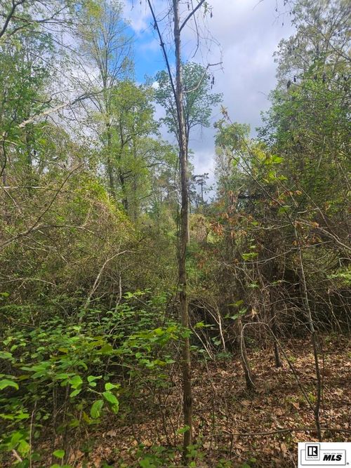 0 Richard Linder Rd, Calhoun, LA, 71225 | Card Image