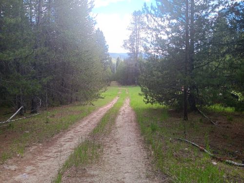 763 Upper Cotton Ln, De Borgia, MT, 59830-7529 | Card Image