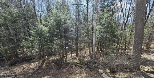 L45 Jacobs Ladder Rd, Becket, MA, 01223 | Card Image