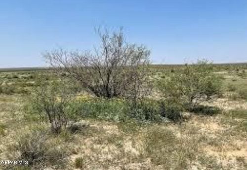 TBD Sierra Blanca Ave, Sierra Blanca, TX, 79851 | Card Image