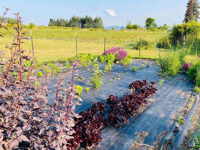 View of patio / terrace with a vegetable garden and a view of countryside | Image 29