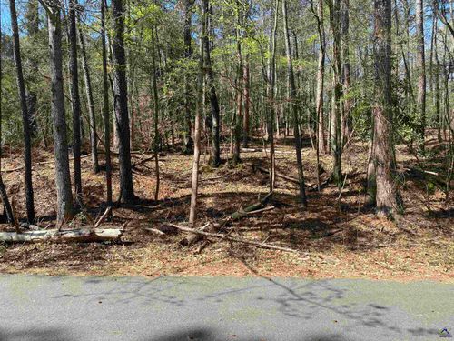 0 Sandra Dr, Gray, GA, 31032 | Card Image