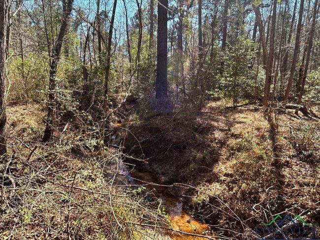 60 ac TBD Cr 1453, Home with 0 bedrooms, 0 bathrooms and null parking in Linden TX | Image 11