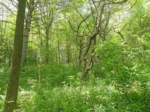 19 Orchard Lane, Bovina, NY, 13740 | Card Image